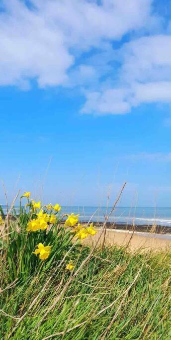 Herne Bay Central - 2 Minutes From Beach Apartment Exteriör bild