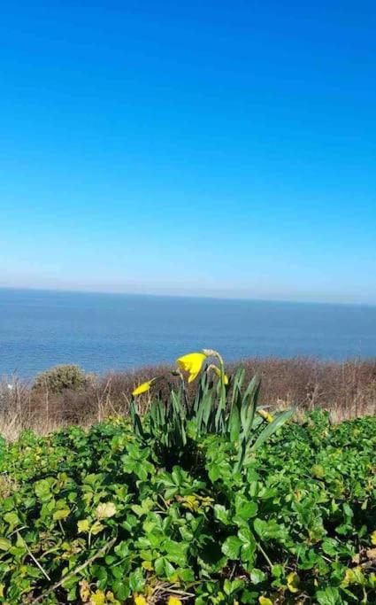 Herne Bay Central - 2 Minutes From Beach Apartment Exteriör bild