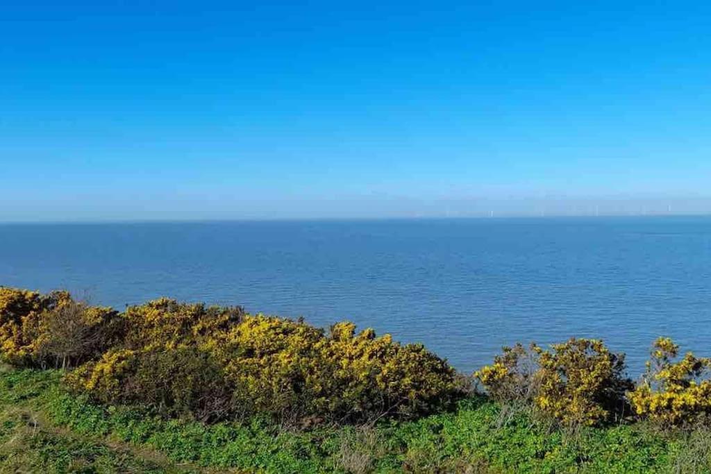Herne Bay Central - 2 Minutes From Beach Apartment Exteriör bild